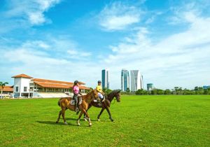 Guide to the Must-Visit Public Parks in Putrajaya,Malaysia