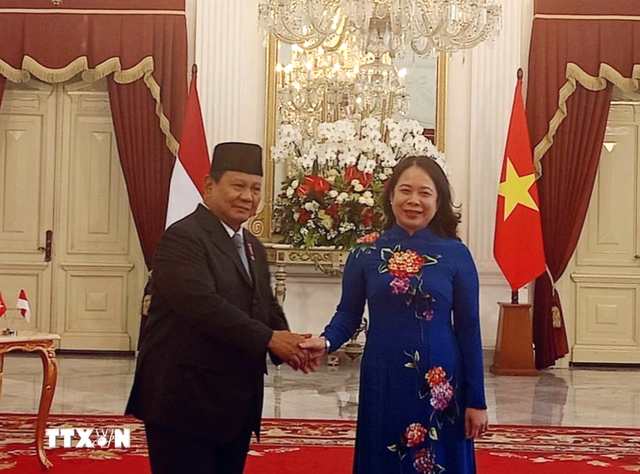 Vietnamese Vice President meets top Indonesian leader