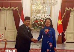 Vietnamese Vice President meets top Indonesian leader