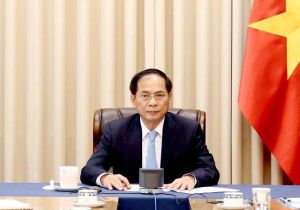 Vietnamese Deputy Prime Minister and Foreign Minister holds phone conversation with Japanese Foreign Minister