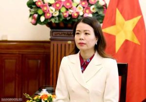 Vietnamese Deputy FM highlights significance of Viet Nam’s engagement in BRICS Plus Summit