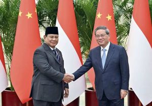 Chinese premier meets with Indonesian president in Beijing