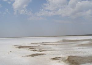 FAO launches first major global assessment of salt-affected soils in 50 years