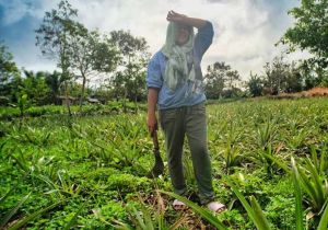 $500 Million ADB Loan to Bolster Philippines’ Disaster Resilience